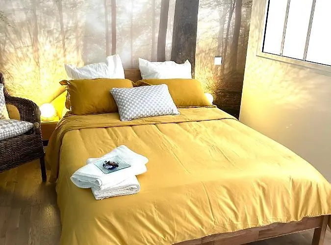 Cocon Cosy Hypercentre