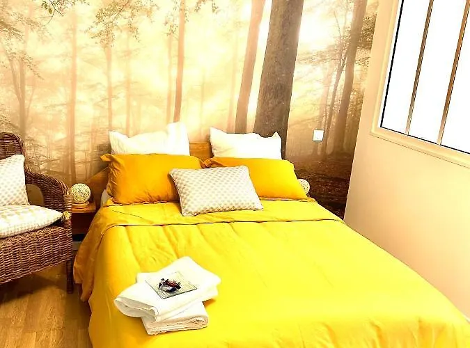 Cocon Cosy Hypercentre *