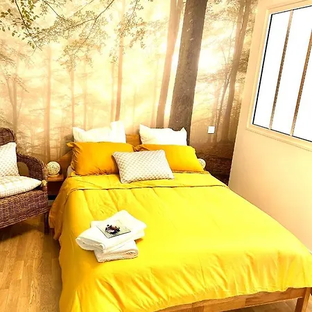 Cocon Cosy Hypercentre *